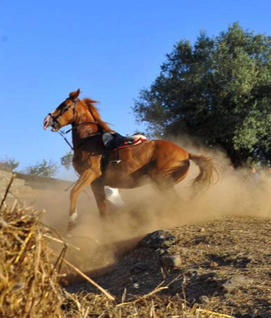 Ardia, le prove con brivido cade e si rialza la terza pandela