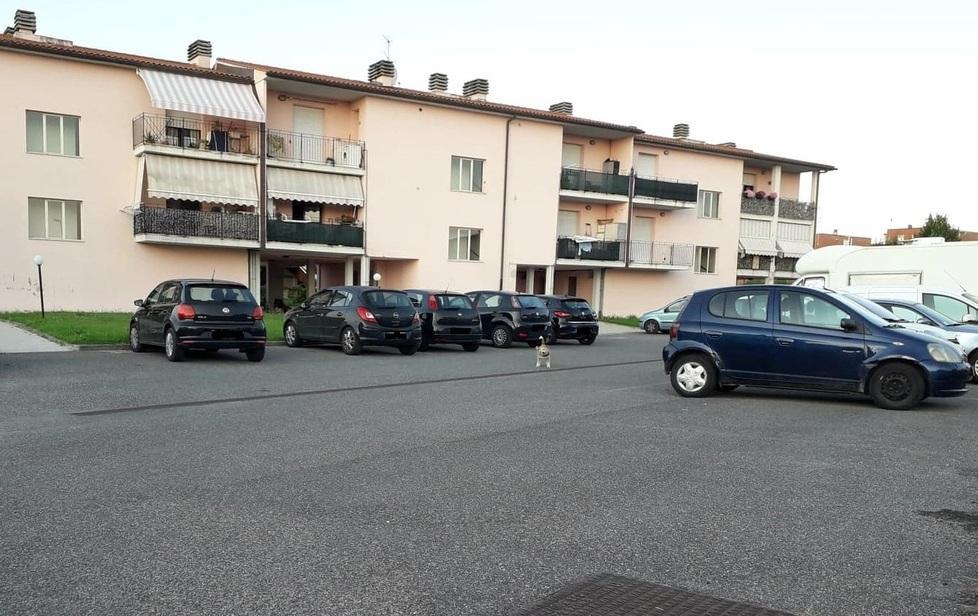 «Una recinzione per il parcheggio»