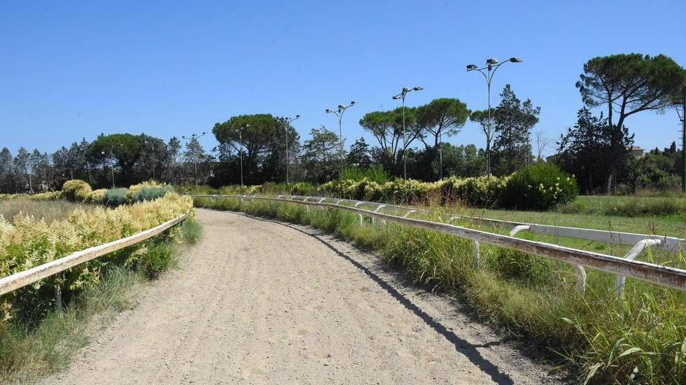 Il Casalone sfratta i cavalli dai box con un preavviso di soli 5 giorni