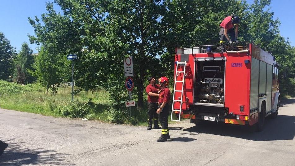Il fotovoltaico delle scuole viene salvato in extremis