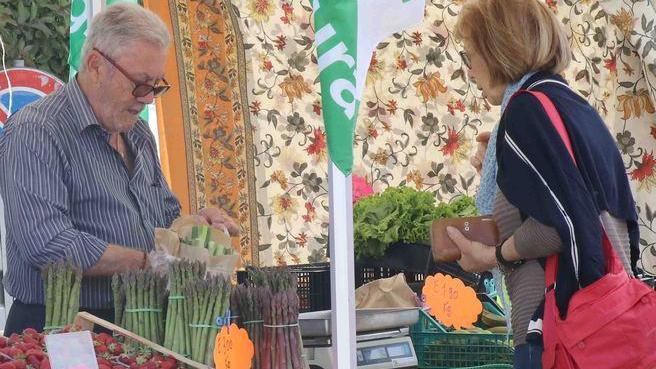 Mercatino a km zero Domanda e offerta si incontrano in piazza