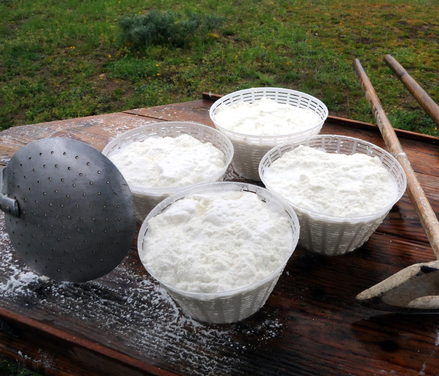 Nasce il laboratorio dei super formaggi sardi 