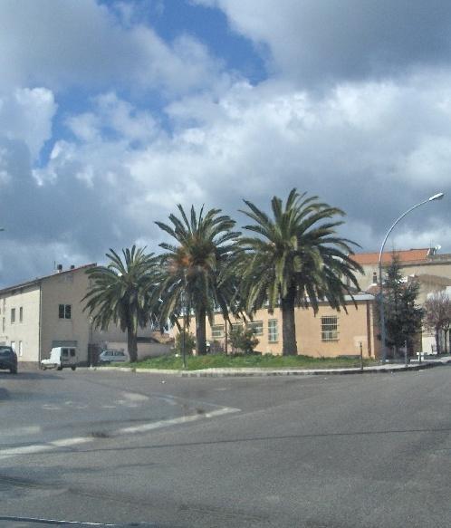 Ladri notturni svaligiano un bar a Suni 