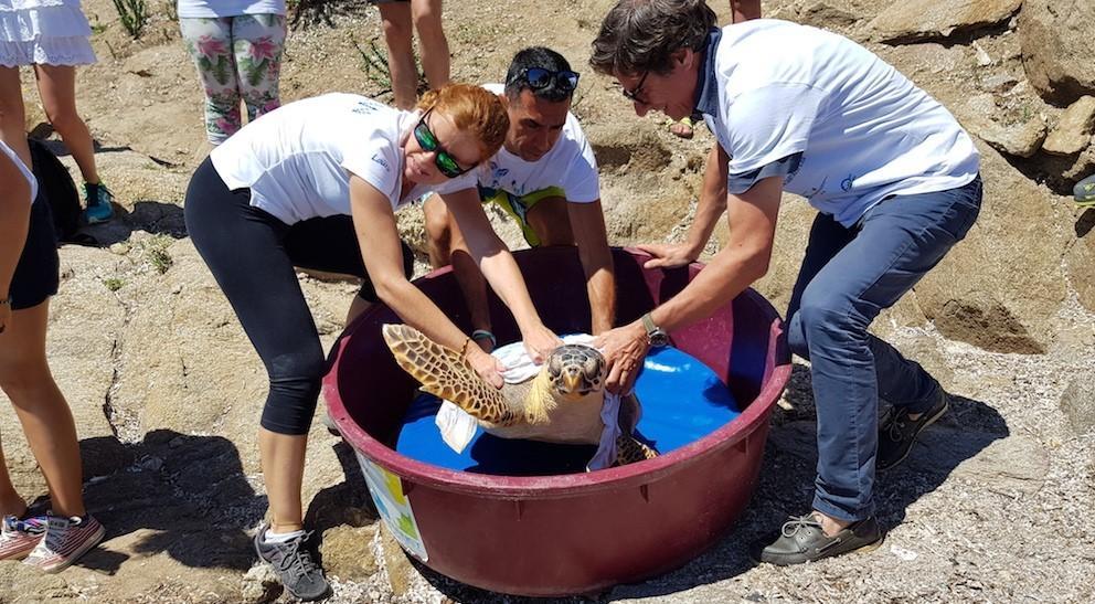 “Bernardina” torna a nuotare libera nelle acque del Parco dell’Asinara