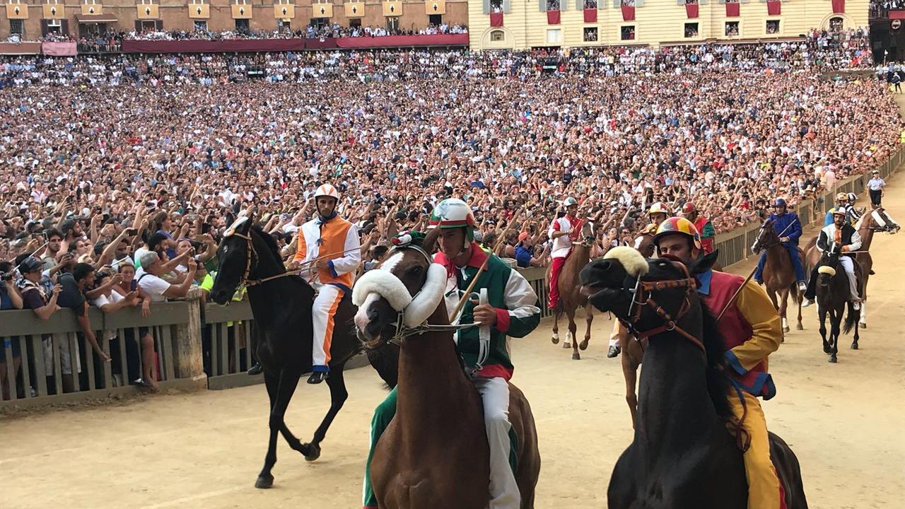 Palio di Siena: vince il Drago - Interattivo