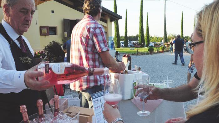 Tutto esaurito tra i filari al chiaro di luna. Brillano il lambrusco e i cibi made in Modena