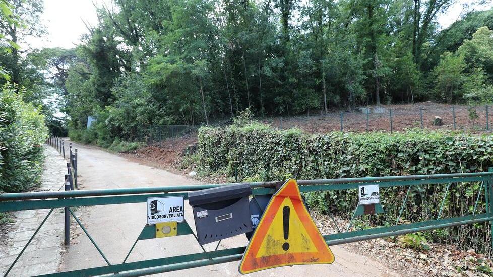 Panteraie, due offerte per far risorgere la storia