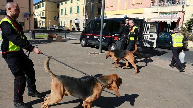 Anche i cani molecolari per cercare un’anziana
