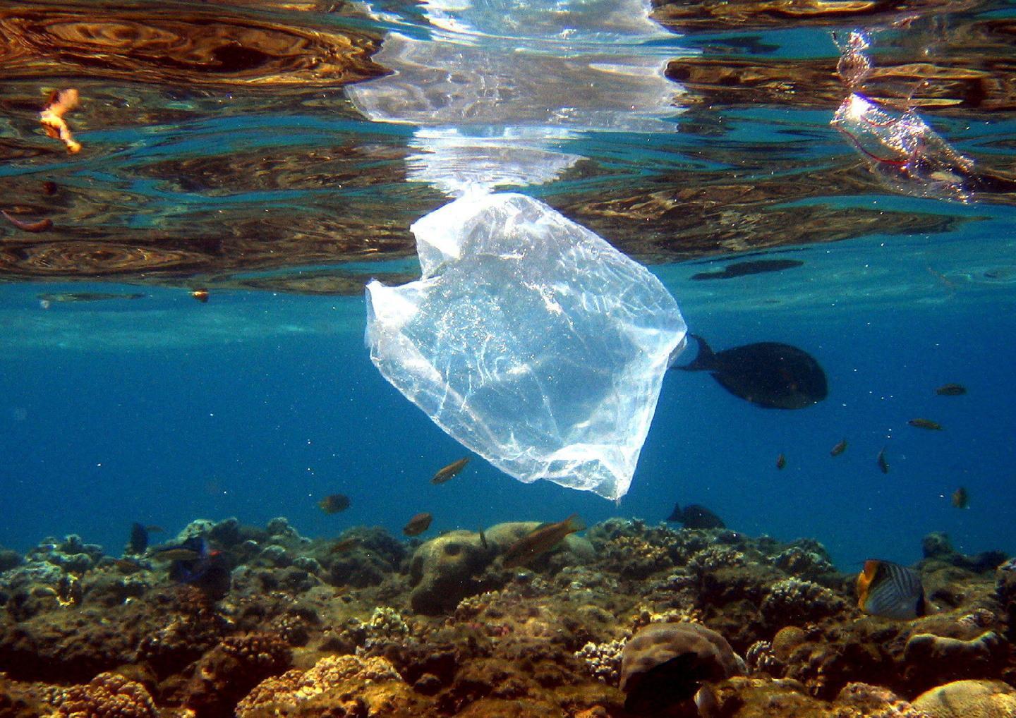 Record di plastica nel mare isolano 