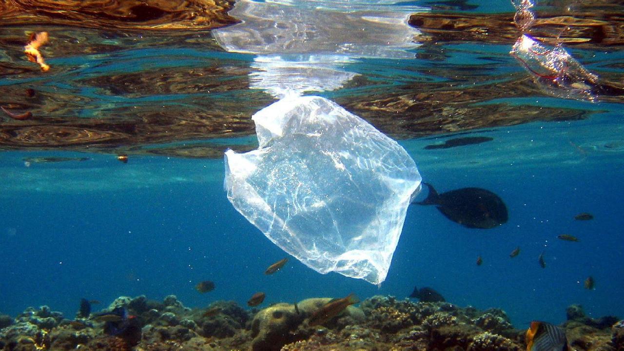 Record di plastica nel mare isolano 