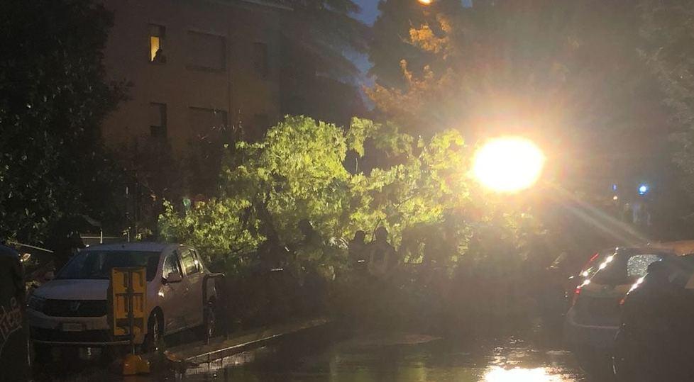 Nubifragio a Reggio Emilia e provincia: alberi caduti, allagamenti e tetti divelti 