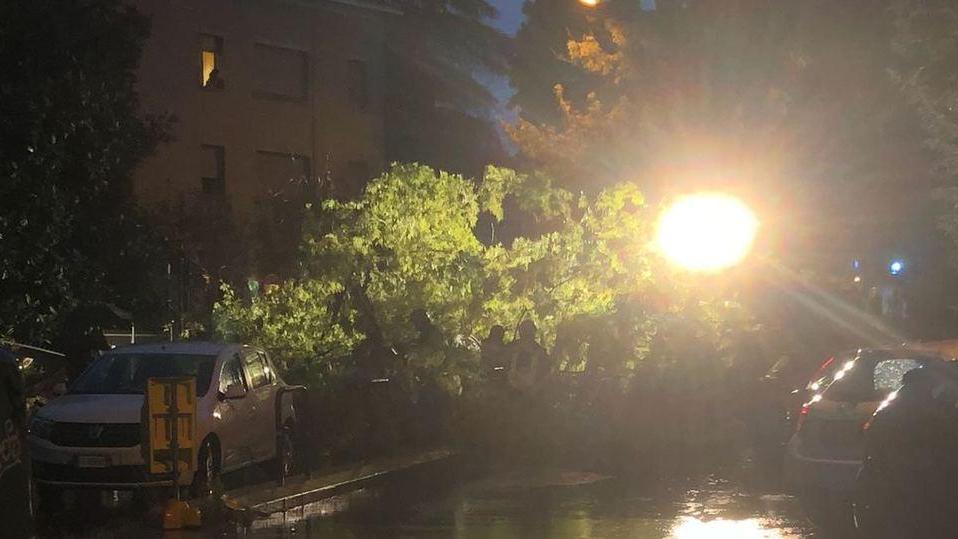 Nubifragio a Reggio Emilia e provincia: alberi caduti, allagamenti e tetti divelti