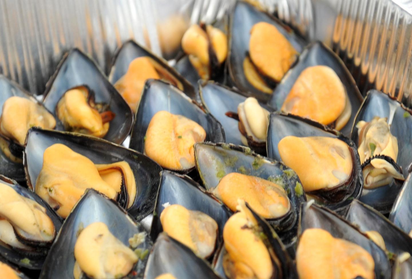 Cozze e vermentino, una serata da star