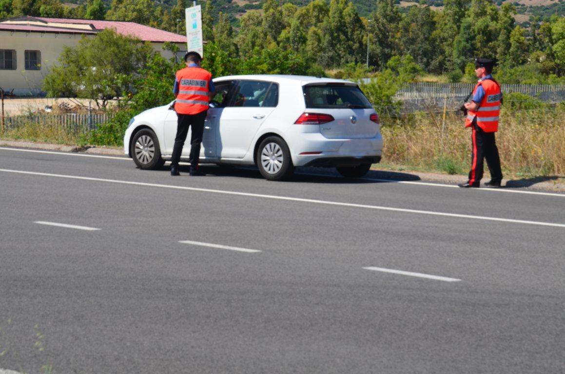 Furto di pecore a Orroli, indagano i carabinieri
