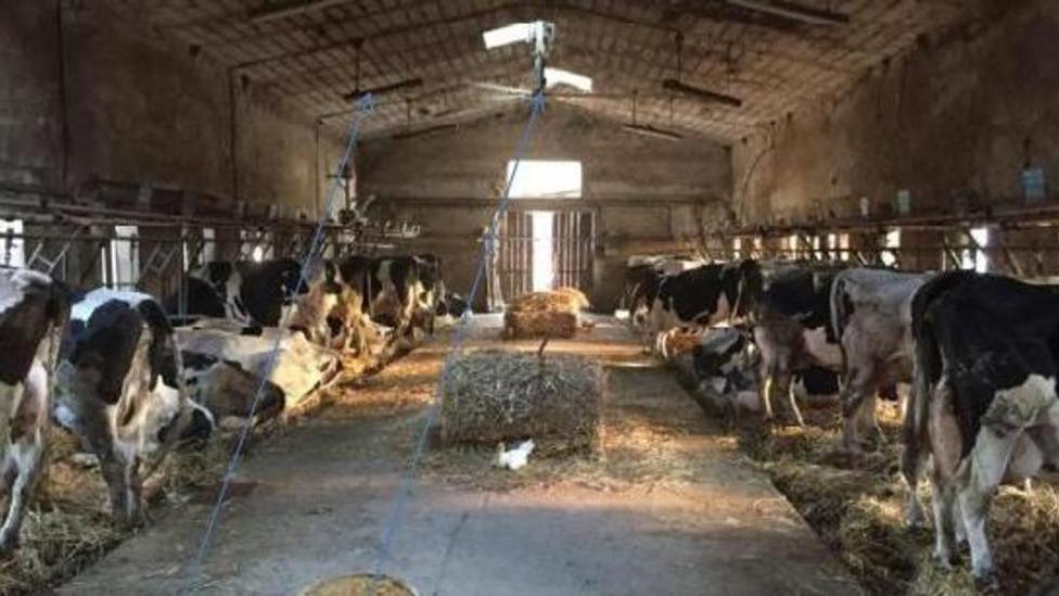 I tecnici confermano i danni all’azienda agricola Lugli