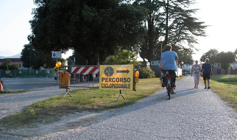 Rotatoria, domani riparte il cantiere Si partirà dallo spostamento degli alberi 