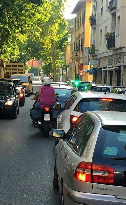 Collesalvetti, querce ko controlli sugli insetti