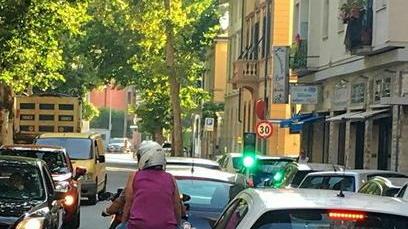Collesalvetti, querce ko controlli sugli insetti