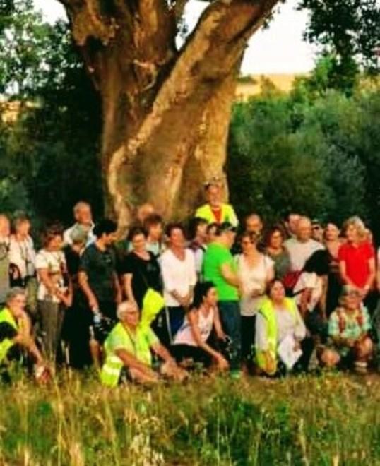 Bando di gara lampo Entro dieci giorni al via le navette estive