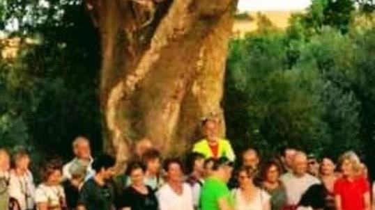 Bando di gara lampo Entro dieci giorni al via le navette estive