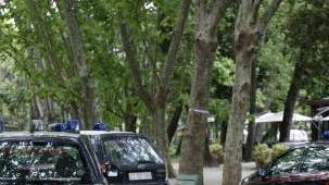 Blitz dei carabinieri nella pineta di Ponente