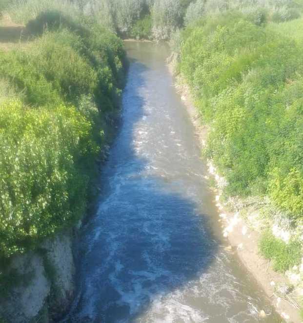 In Naviglio e Panaro i pesci muoiono ma con l’acqua si irriga 
