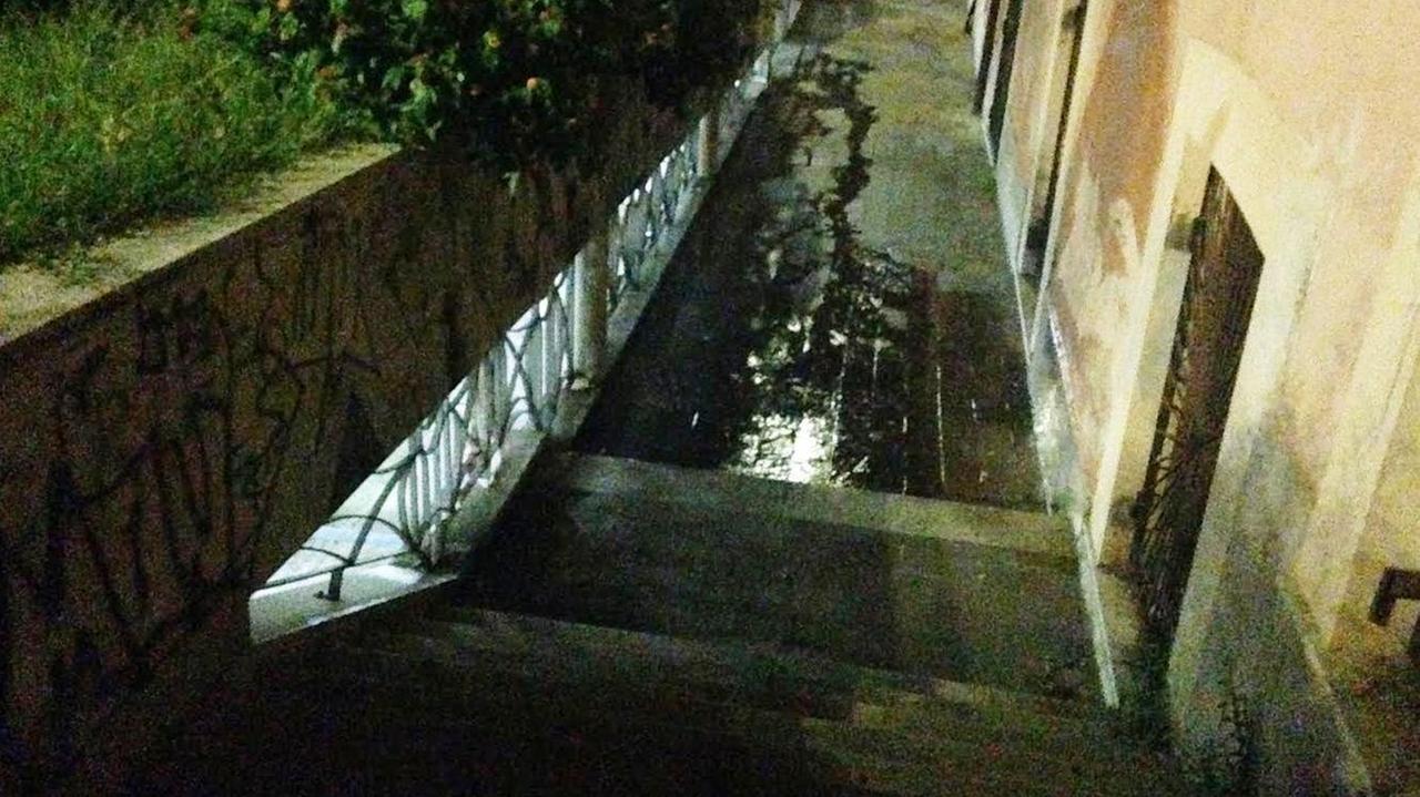 Irrigazione del... camminamento