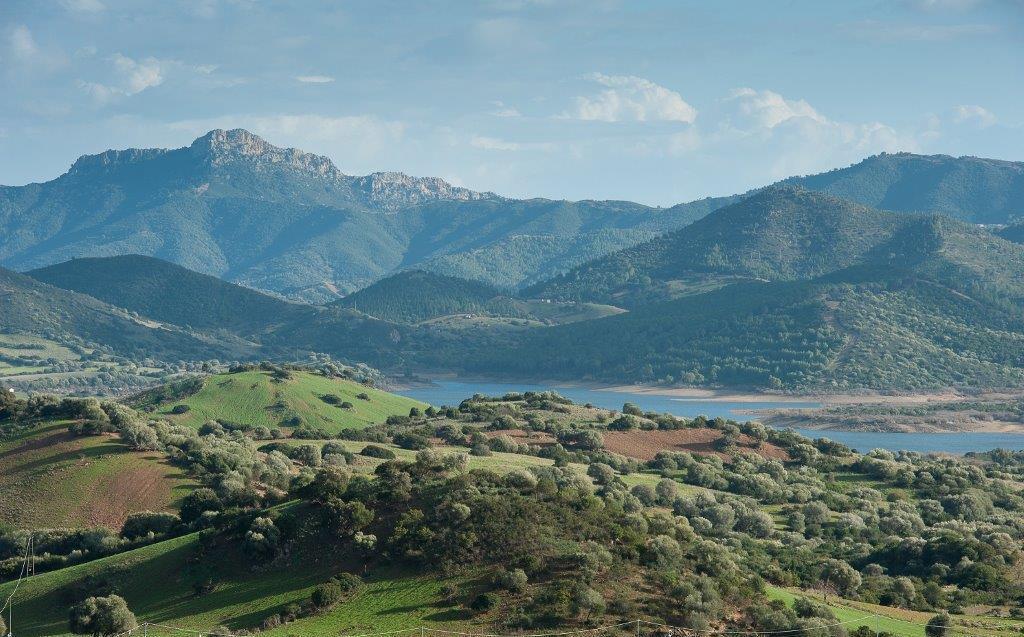 Promozione del Parco con l’App “Visit Tepilora” 