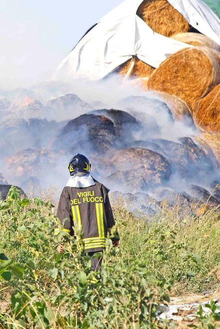 L’appello della Cna «Un aiuto dal Comune»