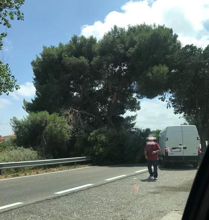 I rami spezzati invadono la 127 bis