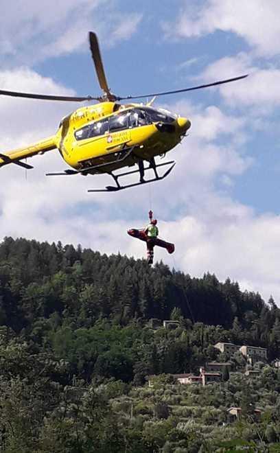Grossa moria di pesci nel torrente Cessana