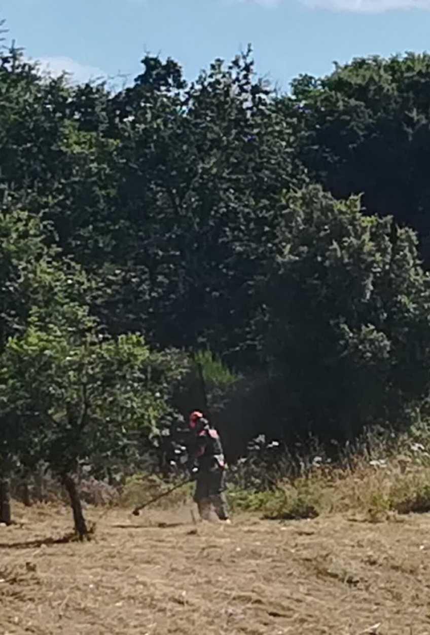 Biscollai, operazione sfalcio nell’Istituto comprensivo