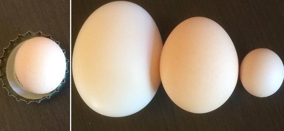 Il miniuovo, a sinistra, all'interno di un tappino. A destra l'ovetto mignon confrontato con due normali uova di gallina