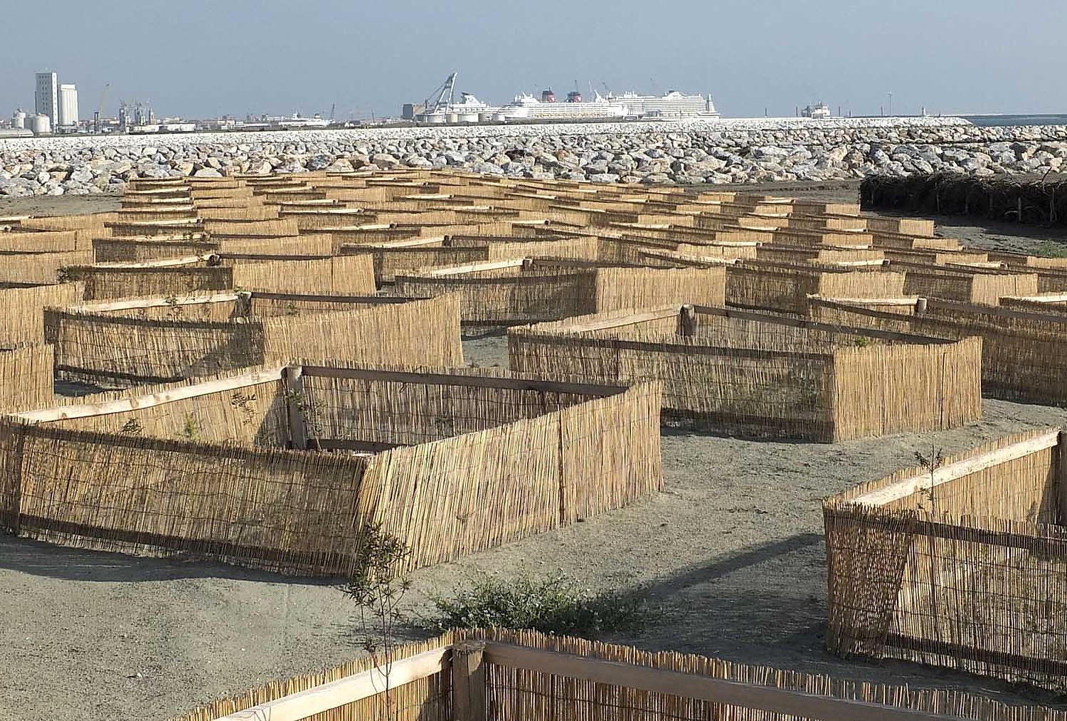 Un'immagine della spiaggia libera a ridosso dello Scolmatore a Calambrone con i recinti a protezione delle piantumazioni