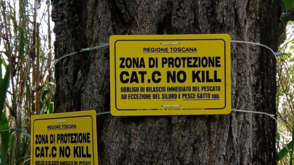 Il cartello che indica la zona protetta