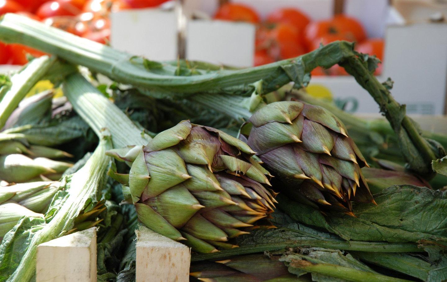 CarBio, al via la filiera del carciofo biologico 