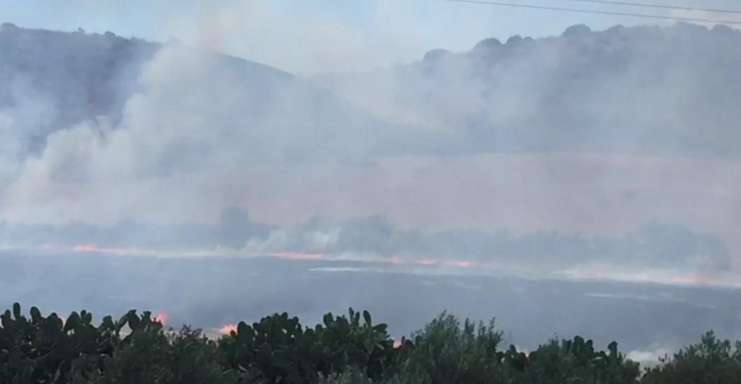 Incendio doloso minaccia alberi da frutto e ulivi