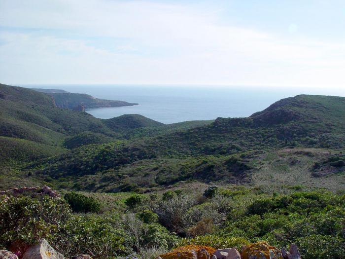 Carloforte, niente caccia per 5 anni dalla Caletta al Becco