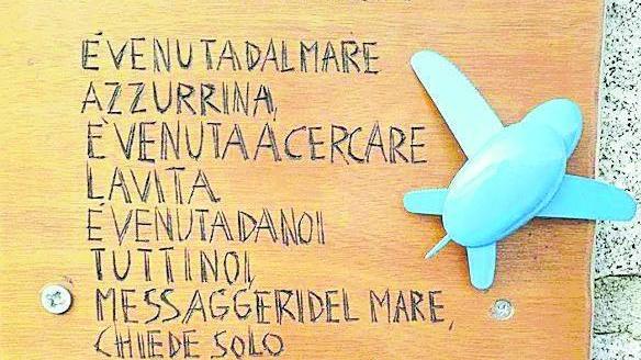 Targa ricordo per Azzurrina, tartaruga uccisa dalla plastica
