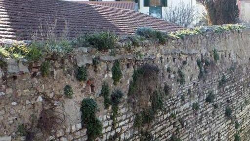 Visita guidata sulle antiche mura di via Da Vinci con Mauro Carrara