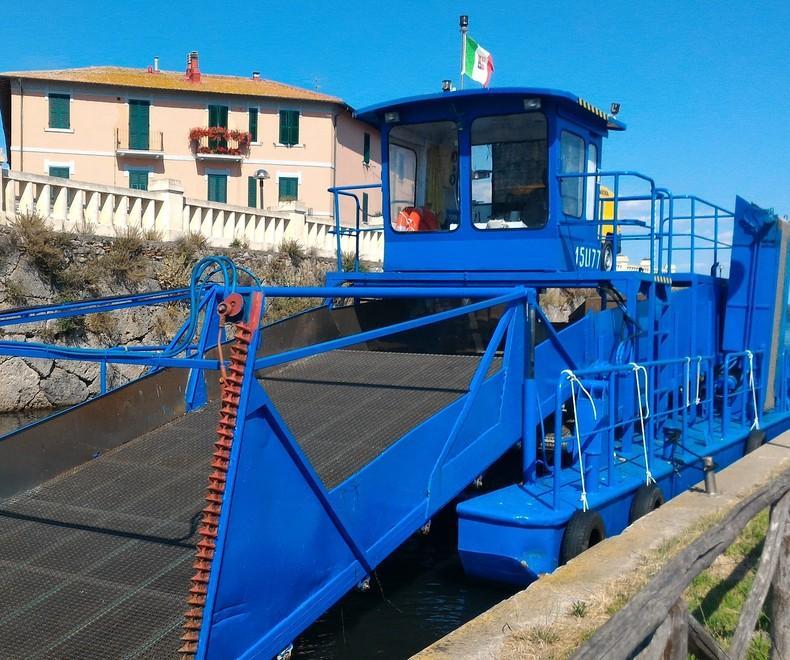 Alghe in Laguna se ne raccoglieranno 600 tonnellate 