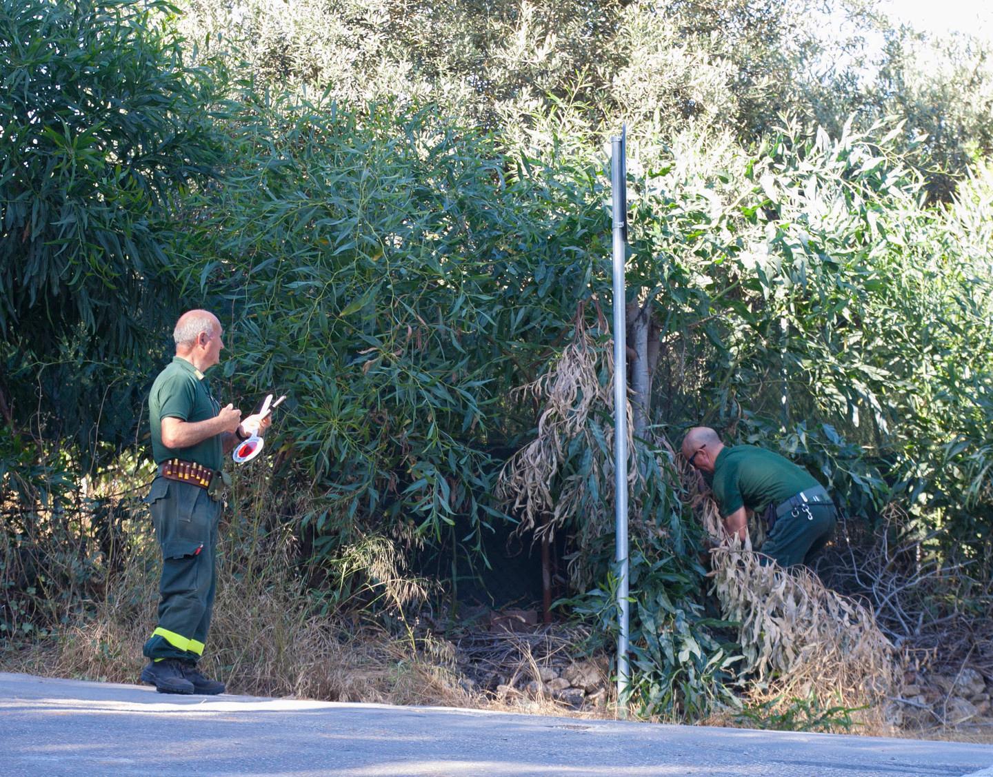 Cartelli coperti dalla vegetazione