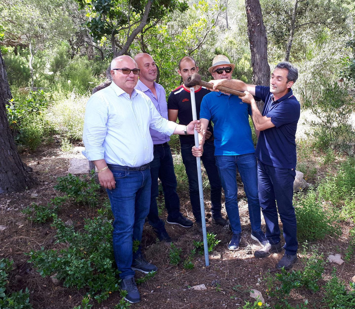 Peste suina, terre e immobili in affitto agli allevatori in regola 