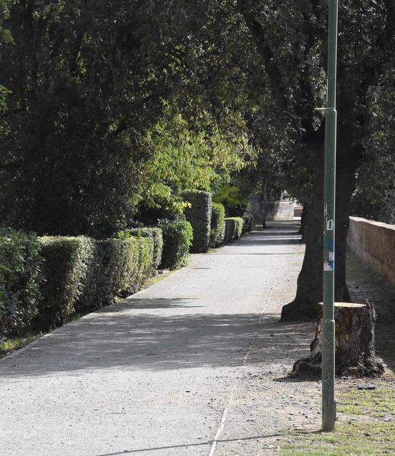 Sicurezza urbana, le interviste ai cittadini ripartono a settembre