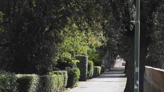 Sicurezza urbana, le interviste ai cittadini ripartono a settembre
