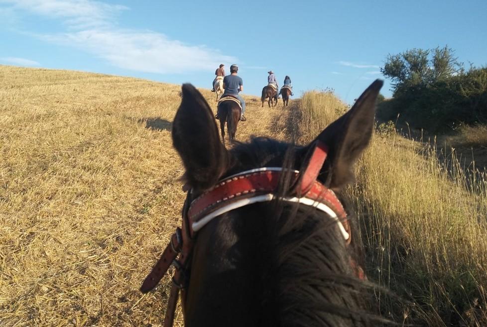 A cavallo su antiche vie: così il territorio è valorizzato e protetto 