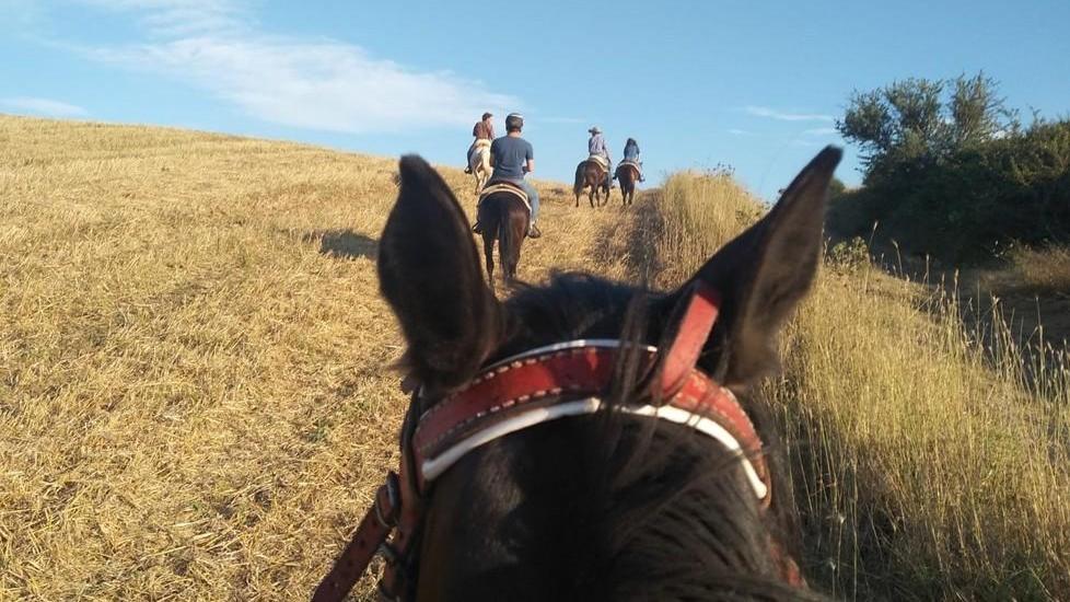 A cavallo su antiche vie: così il territorio è valorizzato e protetto