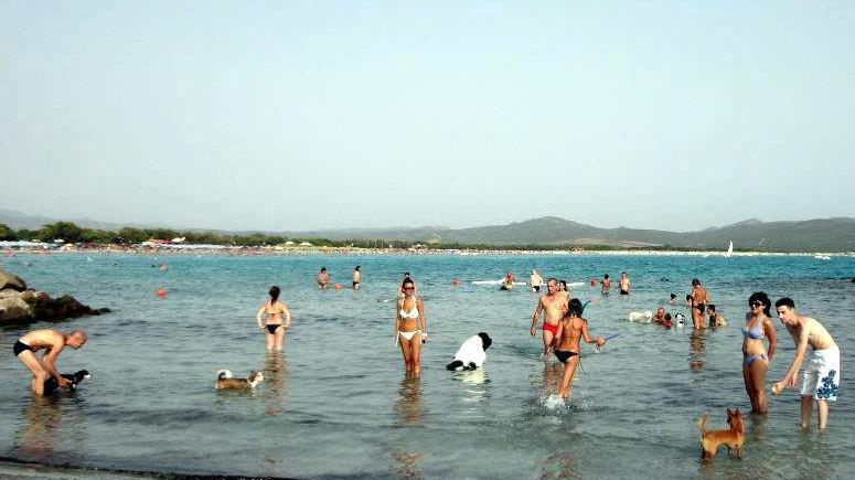 A Porto Pino una spiaggia a misura di cane