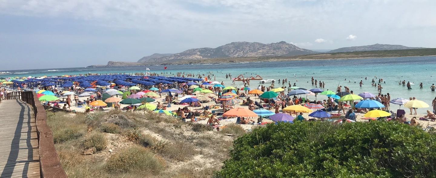 Tutti pazzi per la “nuova” Pelosa 