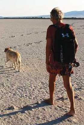 “Laudato Sinis”, dieci cartoline con le bellezze del territorio